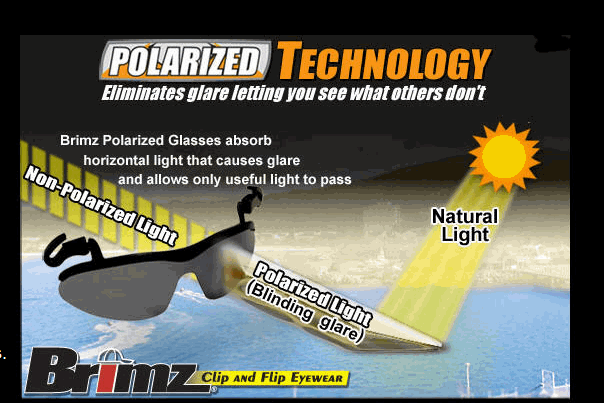 Polarized Technology